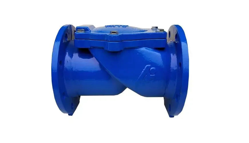 Magbasa nang higit pa tungkol sa Check Valve Assy